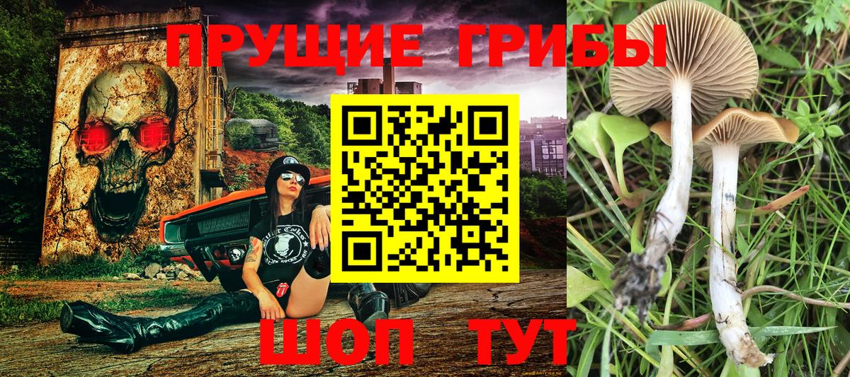 Галлюциногенные грибы прущие грибы Можга