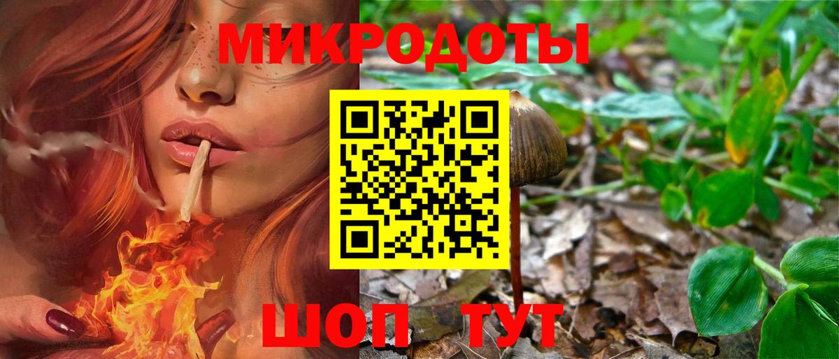 Галлюциногенные грибы Psilocybe  Вход с VPN  Можга  Галлюциногенные грибы MAGIC MUSHROOMS 